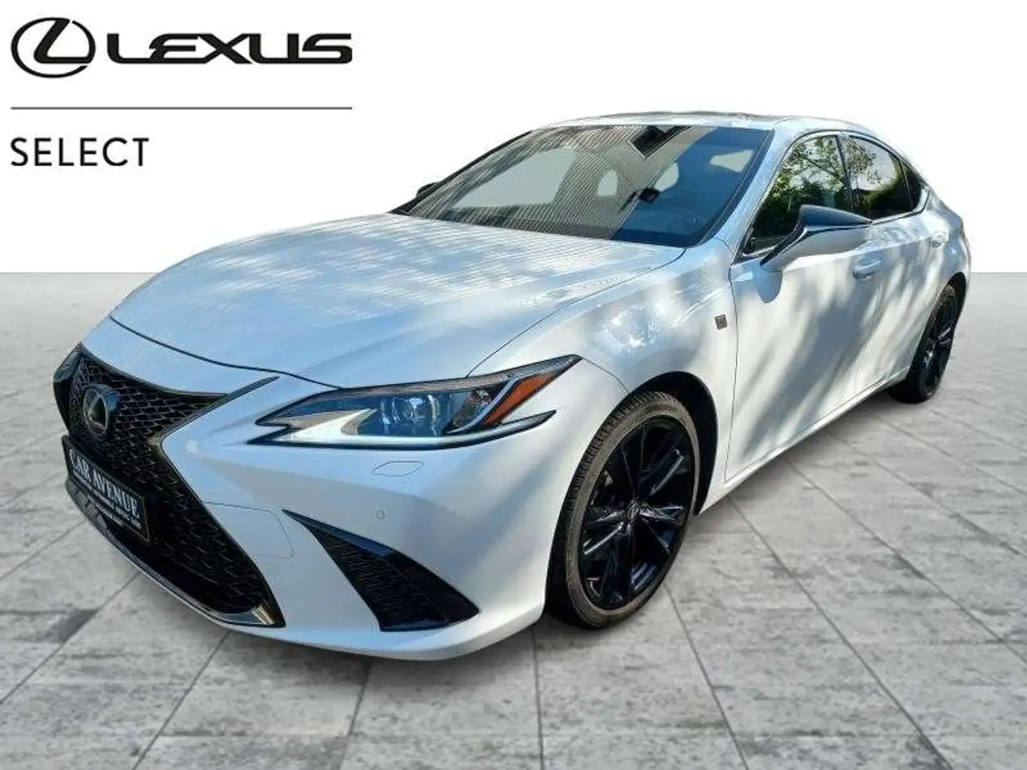 Lexus ES 300 F SPORT Design Blanc - 1