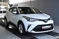 Toyota C-HR 1.8 Hybrid Flow Automatik*LED*PDC Weiß - thumbnail 3