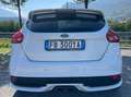 Ford Focus ST LINE 185HP Bianco - thumbnail 4