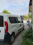 Fiat Doblo Cargo - thumbnail 3