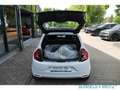 Renault Twingo 0.9 TCe 90 LIMITED E6 SHZ Klima Freisprech Tel.-Vo Weiß - thumbnail 10