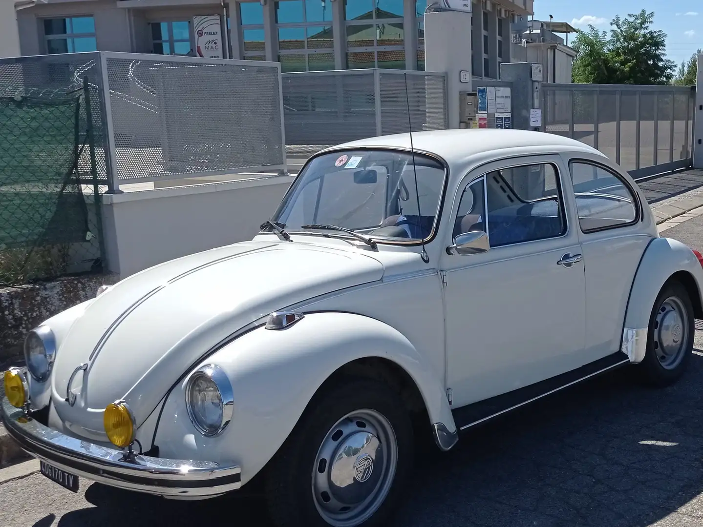 Volkswagen Maggiolino Blanco - 2