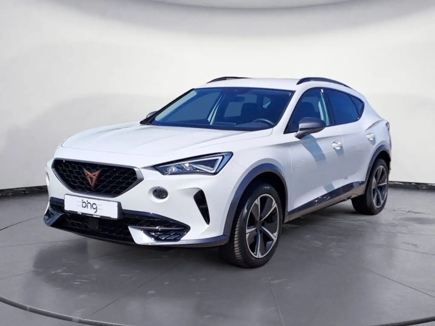 CUPRA Formentor 1.5 TSI Performance II AHK Navi connec Weiß - 2