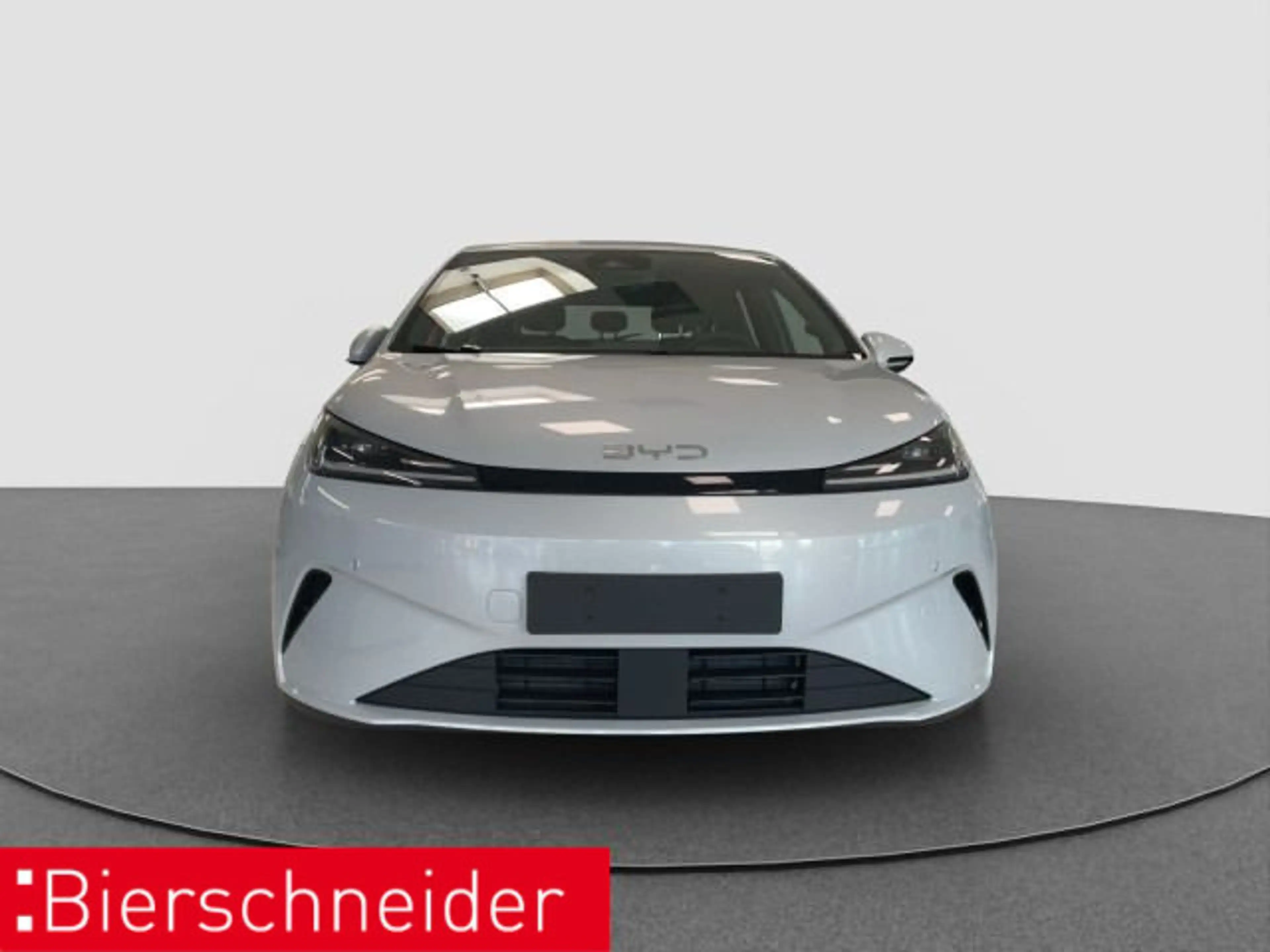 BYD Dolphin Dolphin G DM-i Active NAVI LED — photo 2