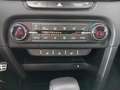 Kia ProCeed / pro_cee'd 1.5 T-GDI MHEV DCT GT Line Plus Argento - thumbnail 14