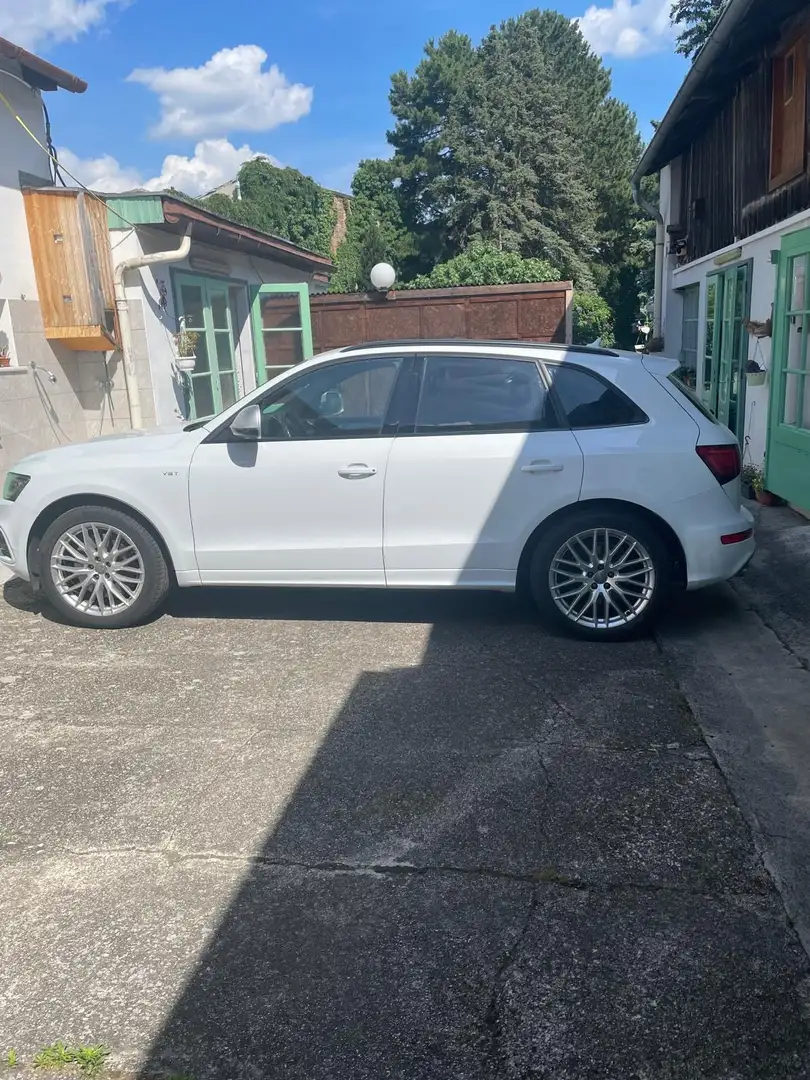 Audi SQ5 plus 3,0 TDI quattro Tiptronic Weiß - 1
