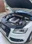 Audi SQ5 plus 3,0 TDI quattro Tiptronic Weiß - thumbnail 6
