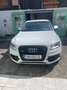 Audi SQ5 plus 3,0 TDI quattro Tiptronic Weiß - thumbnail 2