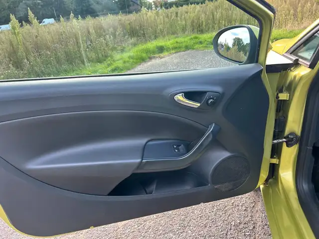 Seat Ibiza view 12