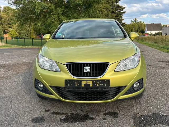 Seat Ibiza view 8