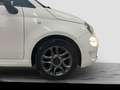 Fiat 500 1.2 Benzina 69cv Sport 2019 Bianco - thumbnail 14