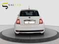 Fiat 500 1.2 Benzina 69cv Sport 2019 Bianco - thumbnail 4