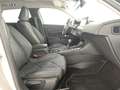 DS Automobiles DS 3 Crossback PureTech 100 Faubourg Argento - thumbnail 11