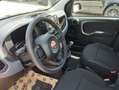 Fiat Panda 1.0 FireFly S&S Hybrid Blu/Azzurro - thumbnail 8