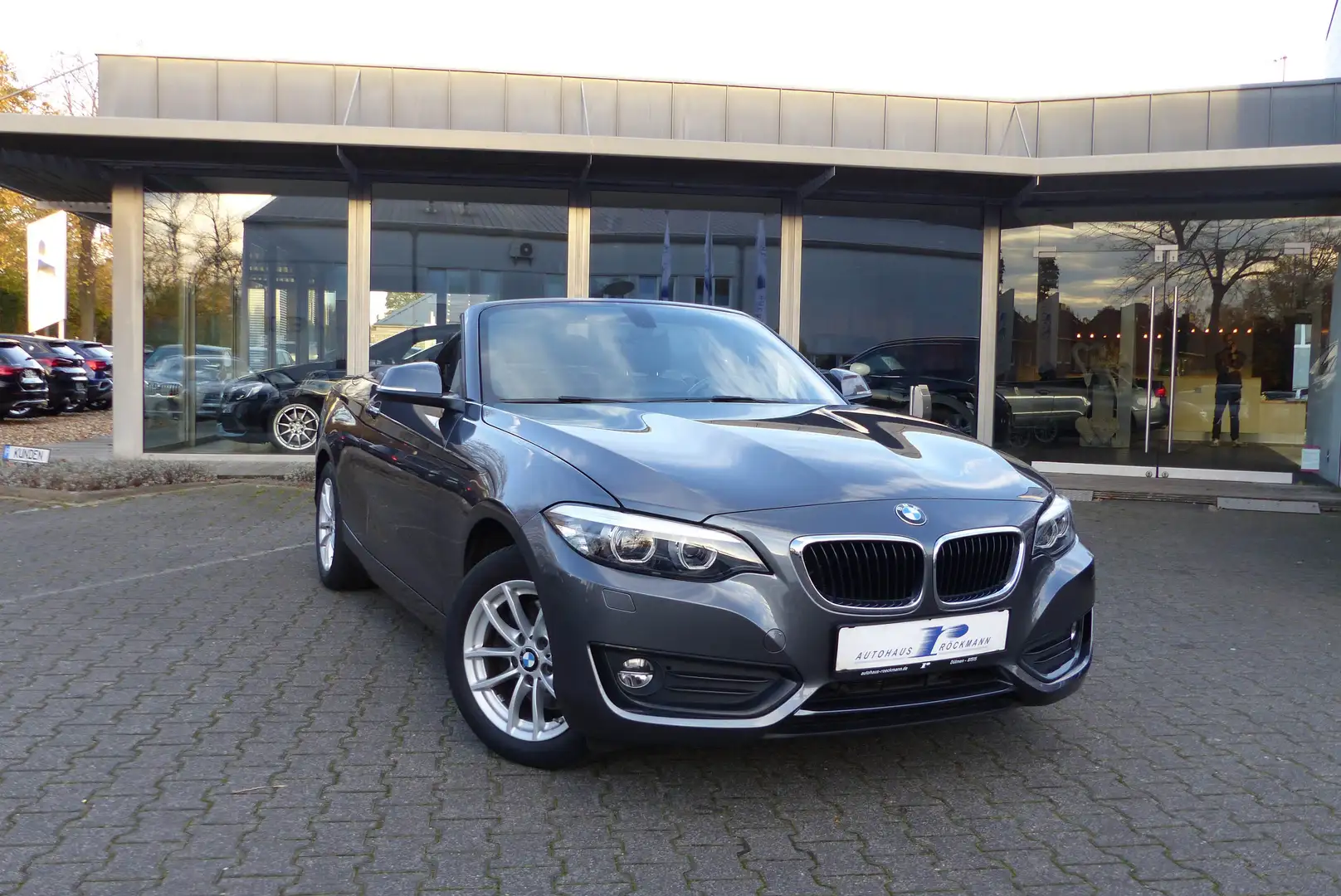 BMW 220 i Cabrio Aut. Navi Windschott SHZ Grau - 1