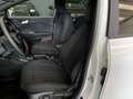 Ford Puma Puma 1.0 EcoBoost Hybrid 125 CV S&S aut. ST-Line Bianco - thumbnail 8