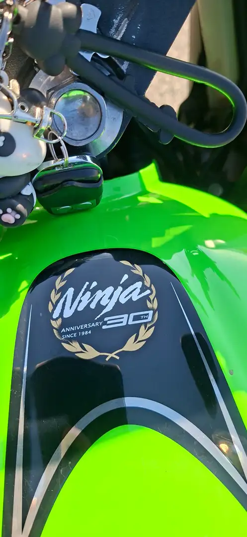 Kawasaki Ninja 300 2015 ABS 30th anniversary Verde - 2