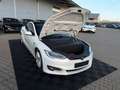 Tesla Model S MODEL S RAVEN PERFORMANCE | LUDICROUS | HW3 | Blanc - thumbnail 8