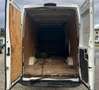 Iveco Daily 2.3 MOTORE ROTTO Bianco - thumbnail 11