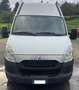 Iveco Daily 2.3 MOTORE ROTTO Bianco - thumbnail 2