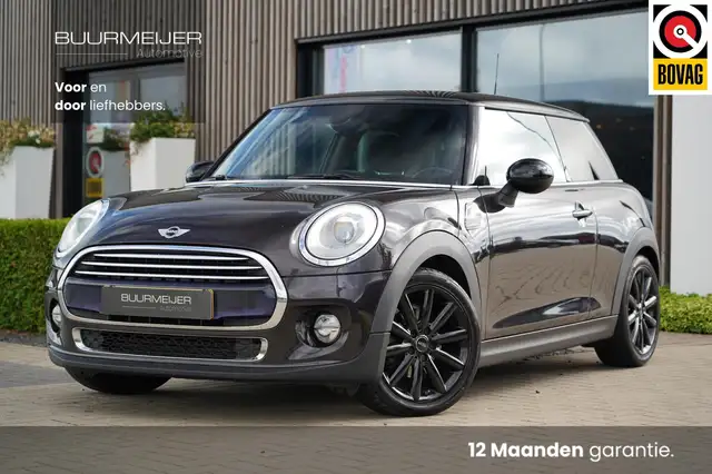 MINI Mini