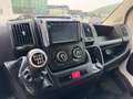 Fiat Ducato Kasten 30 140 L2H1 RS: 3450 mm Blanc - thumbnail 15