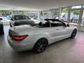 Mercedes-Benz E 200 CGI Cabrio BlueEfficiency*Bi-Xenon*PDC* Silver - thumbnail 6