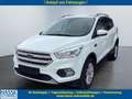 Ford Kuga Ford Kuga 1.5 EcoBoost Cool&Connect 4x2 Start/St Weiß - thumbnail 1