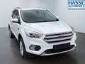 Ford Kuga Ford Kuga 1.5 EcoBoost Cool&Connect 4x2 Start/St Weiß - thumbnail 5