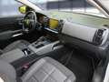 Citroen C5 Aircross Hybrid 225 eEAT8 Shine Pack Weiß - thumbnail 13