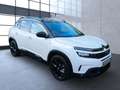 Citroen C5 Aircross Hybrid 225 eEAT8 Shine Pack Weiß - thumbnail 5