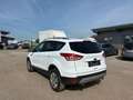 Ford Kuga Trend Weiß - thumbnail 4
