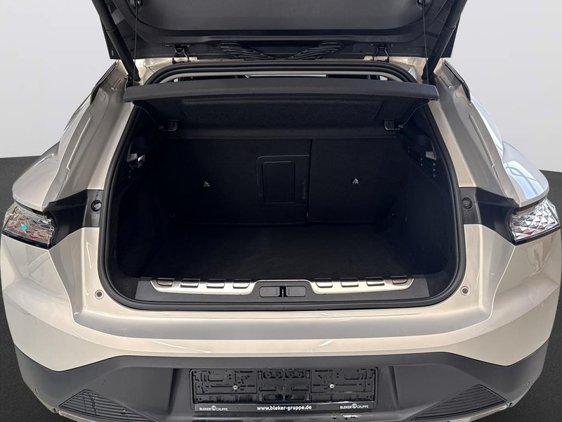 DS Automobiles DS 4 Cross Rivoli — photo 8