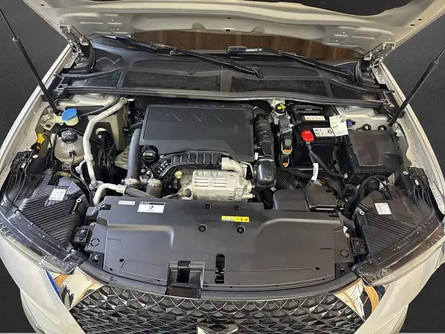 DS Automobiles DS 4 view 7