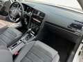 Volkswagen Golf 5p 1.5 tgi Executive 130cv dsg Blanco - thumbnail 12