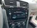 Volkswagen Golf 5p 1.5 tgi Executive 130cv dsg Blanco - thumbnail 14
