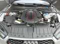 Audi RS7 RS 7 performance 4.0TFSI Akra. Keramik Pano Argent - thumbnail 19