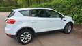 Ford Kuga Kuga 2,0 Titanium 4x4 TDCI DPF Aut. Titanium Weiß - thumbnail 3