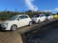 Fiat 500 500 VARIE DISPONIBILITA' DI FIAT 500 Wit - thumbnail 1