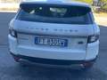 Land Rover Range Rover Evoque Range Rover Evoque  5p 2.0 ed4 Pure 150cv my19 Bianco - thumbnail 3
