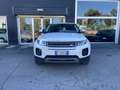 Land Rover Range Rover Evoque Range Rover Evoque  5p 2.0 ed4 Pure 150cv my19 Bianco - thumbnail 1