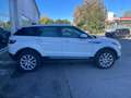 Land Rover Range Rover Evoque Range Rover Evoque  5p 2.0 ed4 Pure 150cv my19 Bianco - thumbnail 4