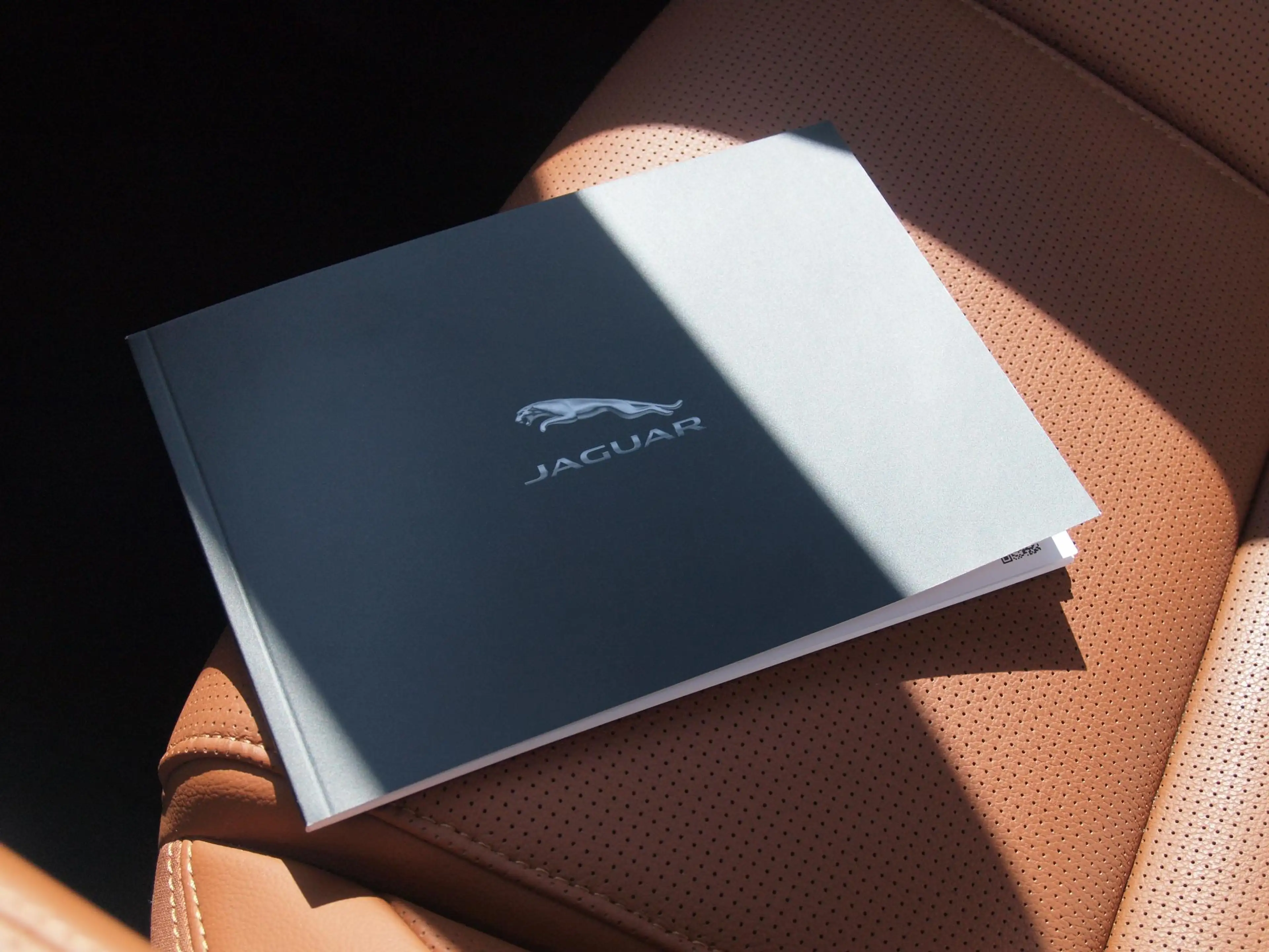 Jaguar F-Pace 2.0 P400e PHEV SE R-Dynamic | Panoramadak | Camera — photo 38