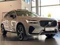 Volvo XC60 AWD R-Design Sthz Pano Memory H&K ACC AHK Silber - thumbnail 4
