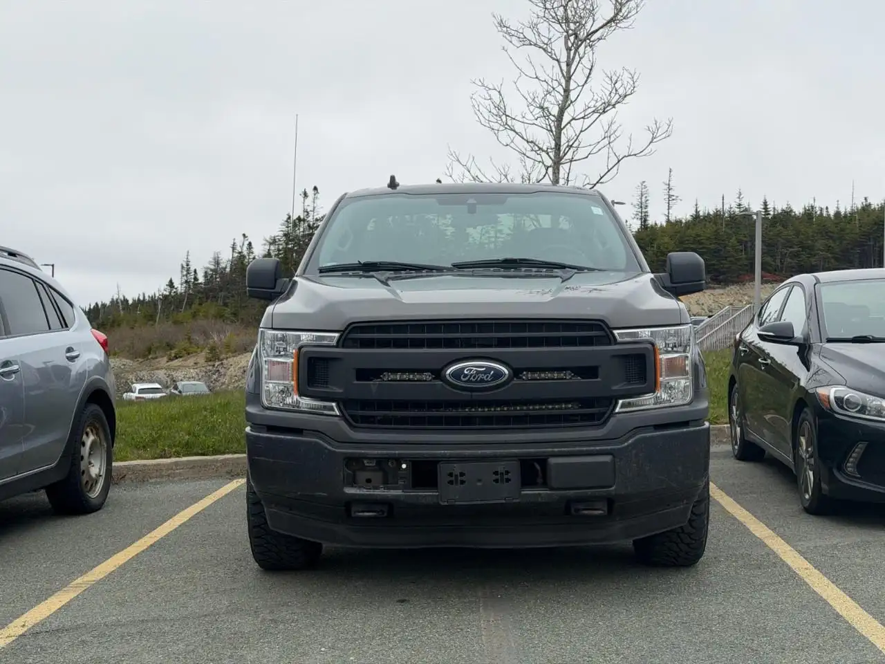 Ford F 150 снимка Ford F 150