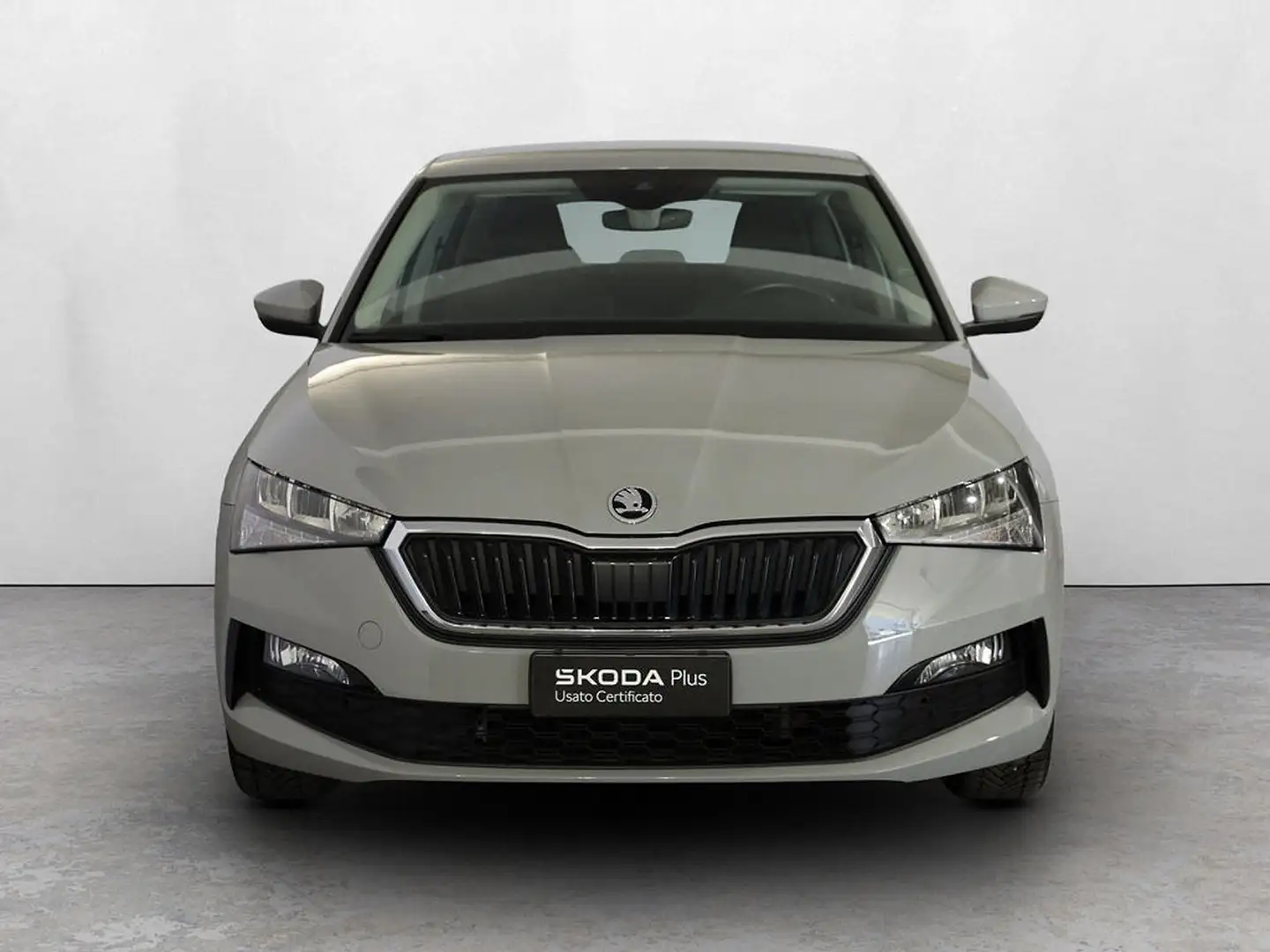 Skoda Scala 1.0 g-tec ambition 90cv Grigio - 2