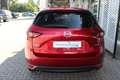 Mazda CX-5 D-184 AWD AT Sports-Line LEDER GSD *AHK* el.Sitzv. Rot - thumbnail 4