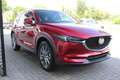 Mazda CX-5 D-184 AWD AT Sports-Line LEDER GSD *AHK* el.Sitzv. Rot - thumbnail 6