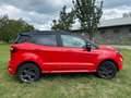 Ford EcoSport EcoSport 1.0 ecoboost ST-Line 100cv Rosso - thumbnail 7