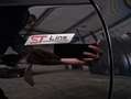 Ford Kuga 2.0 EcoBlue Aut. ST-LINE X AHK/iACC/Head-Up/W Schwarz - thumbnail 15
